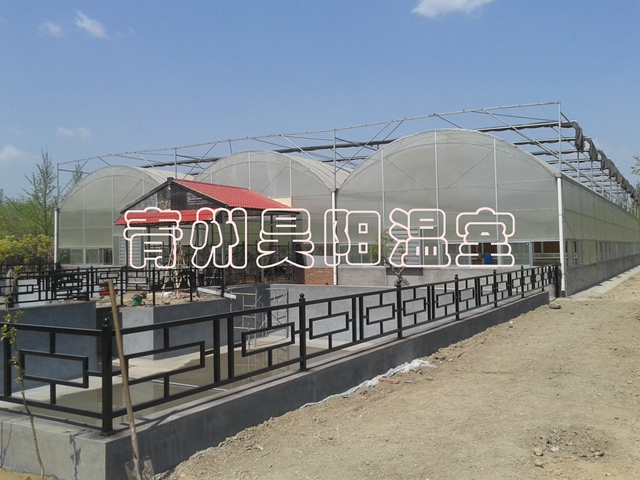 淄博建設中溫室